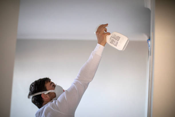 Best Local Mold Removal Service  in Cuba, MO