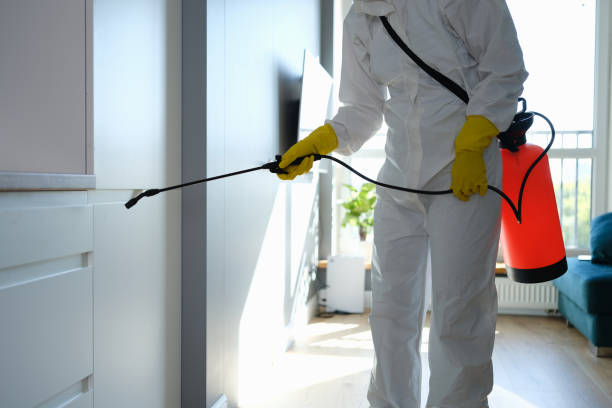 Best Toxic Mold Removal  in Cuba, MO