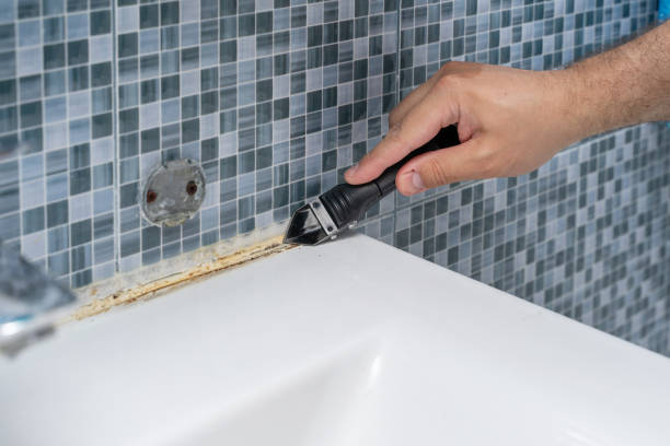 Best Affordable Mold Removal  in Cuba, MO
