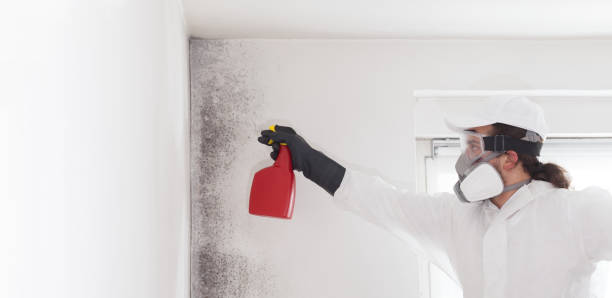 Best Residential Mold Removal  in Cuba, MO