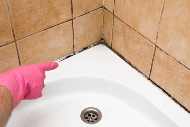 Water Damage Restoration in Cuba, MO